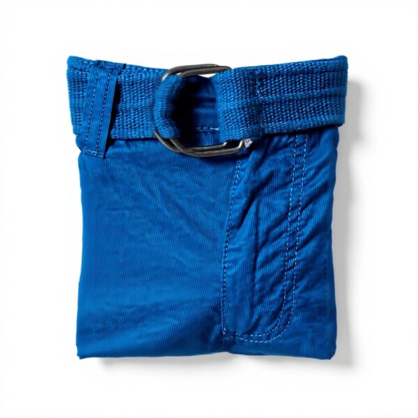 Teddy Smith Herren Shorts Blue Worker Freizeitbekleidung